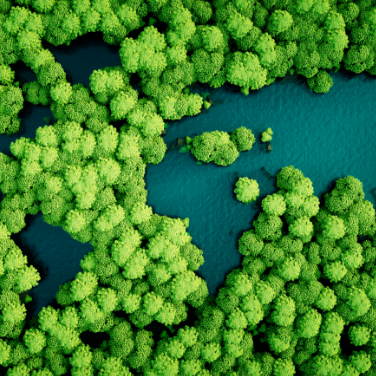 Árboles y agua en forma de mapamundi