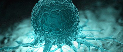 «Avatares de tumores» podrían ayudar a identificar tratamientos efectivos para el cáncer